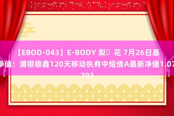 【EBOD-043】E-BODY 梨々花 7月26日基金净值：浦银稳鑫120天移动执有中短债A最新净值1.0793
