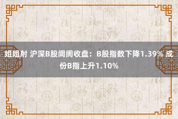 姐姐射 沪深B股阛阓收盘：B股指数下降1.39% 成份B指上升1.10%