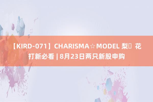 【KIRD-071】CHARISMA☆MODEL 梨々花 打新必看 | 8月23日两只新股申购