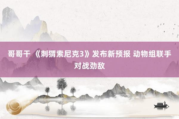 哥哥干 《刺猬索尼克3》发布新预报 动物组联手对战劲敌