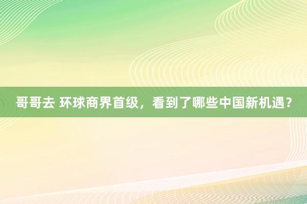 哥哥去 环球商界首级，看到了哪些中国新机遇？