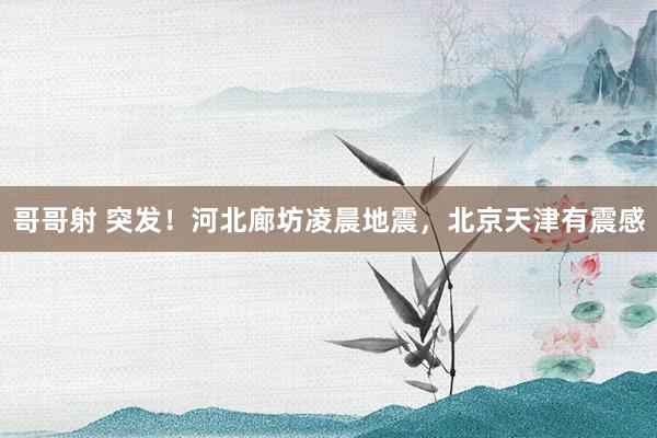 哥哥射 突发！河北廊坊凌晨地震，北京天津有震感