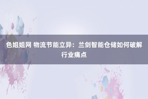 色姐姐网 物流节能立异：兰剑智能仓储如何破解行业痛点