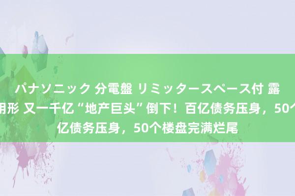 パナソニック 分電盤 リミッタースペース付 露出・半埋込両用形 又一千亿“地产巨头”倒下！百亿债务压身，50个楼盘完满烂尾