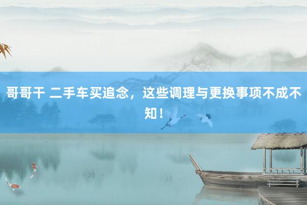哥哥干 二手车买追念，这些调理与更换事项不成不知！