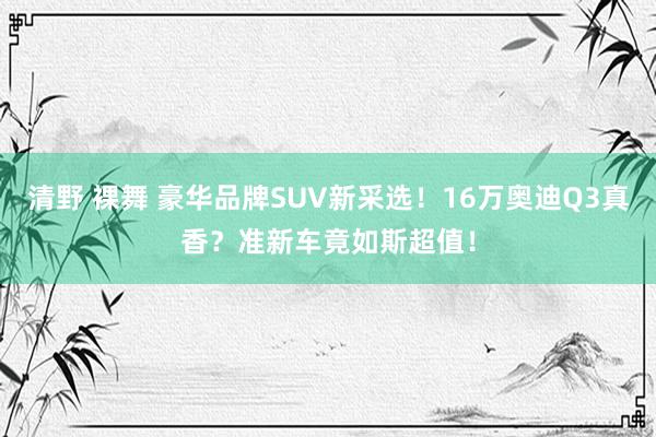 清野 裸舞 豪华品牌SUV新采选！16万奥迪Q3真香？准新车竟如斯超值！
